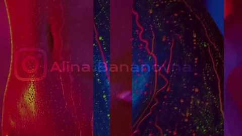 heybanan free recording from 2024-10-01 00:34:00