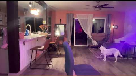 kaileeshy free recording from 2024-10-01 06:21:00