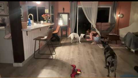 kaileeshy free recording from 2024-10-01 07:22:00