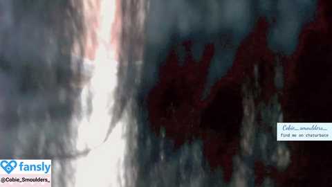 cobie_smoulders_ free recording from 2024-10-04 04:30:00