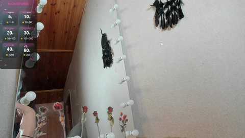 euphoria_life free recording from 