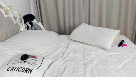 missblondecutie free recording from 2024-10-05 01:41:00