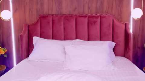 thebaewatch free recording from 2024-10-05 09:43:00