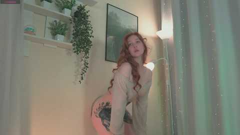 iara_mi free recording from 