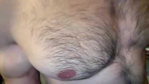 musclehair3 free recording from 2024-10-08 18:11:00