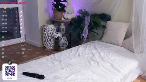 oki_dokie free recording from 2024-10-11 14:01:00