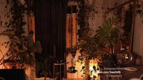 effylowell_ free recording from 