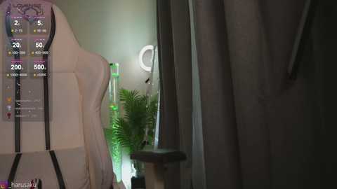 h4ruk4 free recording from 2024-10-12 07:14:00