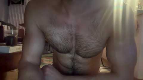 musclehair3 free recording from 2024-10-14 22:49:00
