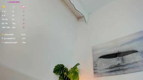 sofia_prettiness free recording from 2024-10-14 02:42:00