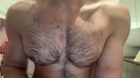 musclehair3 free recording from 2024-10-17 20:01:00