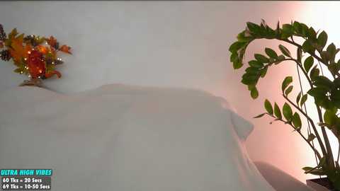 sweety_rinushka_ free recording from 