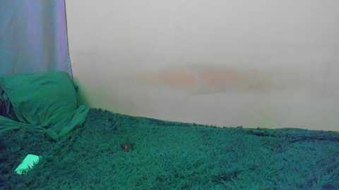 boniee_clyde free recording from 2024-10-19 19:12:00