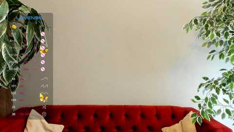 alodiebracher free recording from 2024-10-23 07:58:00