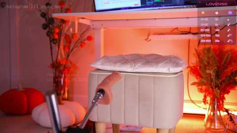 lil_eva free recording from 2024-10-25 11:41:00