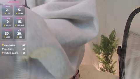 bennymurrh_ free recording from 2024-10-27 19:07:00