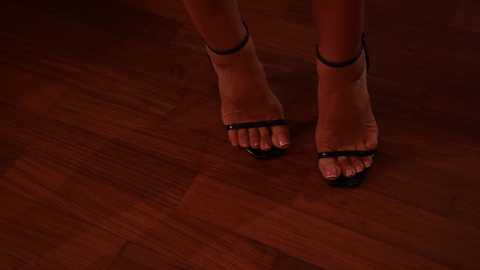 jseductiveart free recording from 2024-10-27 22:02:00