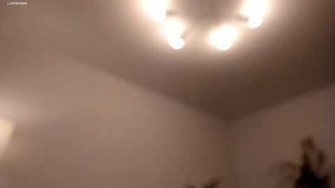 lauratanguy free recording from 2024-10-27 17:20:00