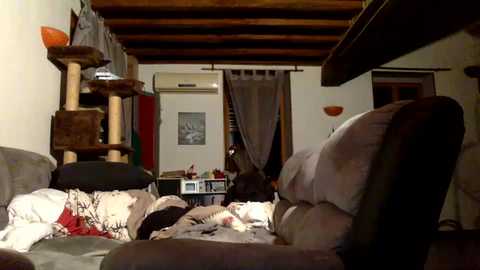 redhairedteach free recording from 2024-10-30 01:45:00