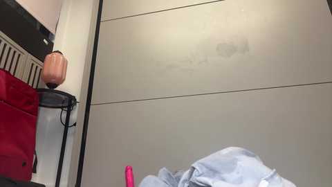 faseremx free recording from 2024-10-31 01:52:00