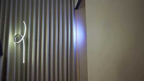 shena_nomy free recording from 2024-10-31 14:44:00