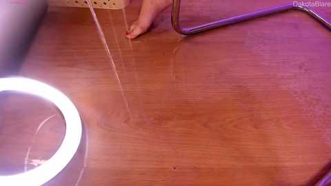 dakota_blare free recording from 2024-11-01 08:45:00