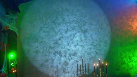 eva_fashionista free recording from 2024-11-01 05:47:00