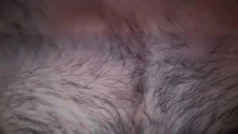 musclehair3 free recording from 2024-11-01 19:08:00