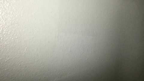 roastingcorn free recording from 2024-11-01 11:45:00