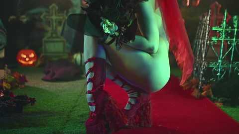 rocknrose free recording from 2024-11-01 02:43:00