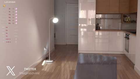 gina_divine free recording from 2024-11-02 11:59:00