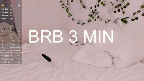 mary_lepson free recording from 2024-11-02 16:34:00