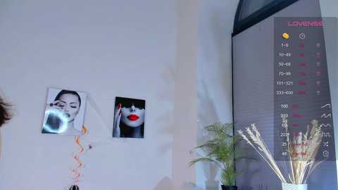 _curlydream_ free recording from 2024-11-03 11:20:00