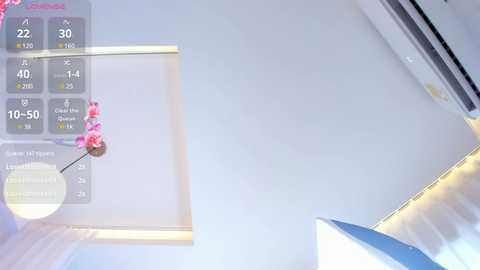 angelrossario free recording from 2024-11-03 13:09:00