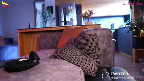 dominic_sullivan1 free recording from 2024-11-03 18:16:00