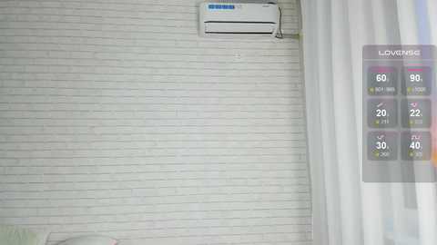 free_birdd free recording from 2024-11-04 03:59:00