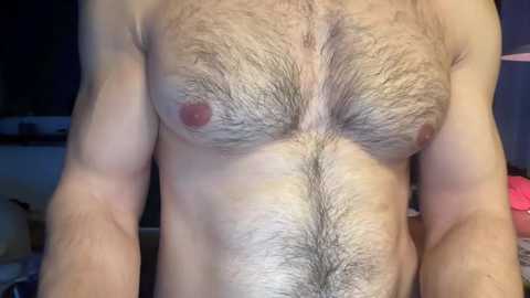 musclehair3 free recording from 2024-11-04 21:34:00