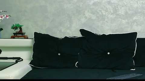 ashadevon_fit free recording from 2024-11-05 03:36:00