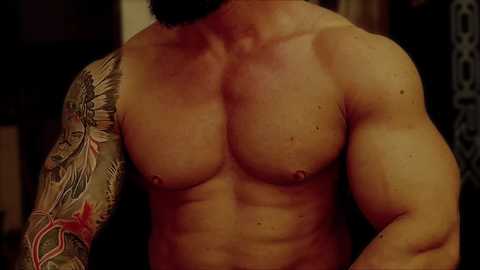 adonis_msc free recording from 2024-11-06 04:43:00