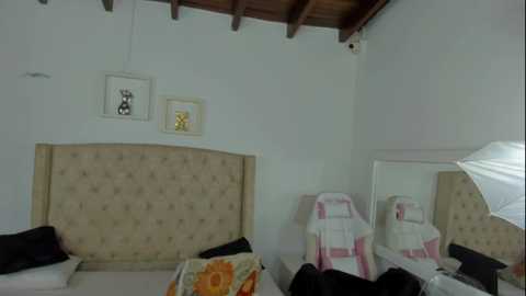 medussa13_ free recording from 2024-11-07 17:54:00