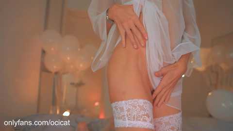 ocicat free recording from 2024-11-08 02:15:00