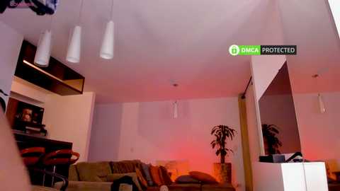 _assh free recording from 