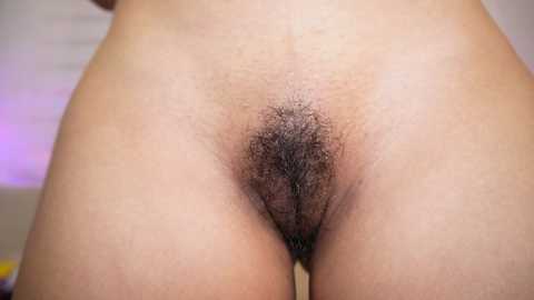 ariadna5 free recording from 2024-11-09 03:56:00