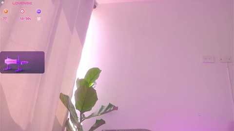 therealpeach_ free recording from 