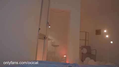 ocicat free recording from 2024-11-10 02:03:00