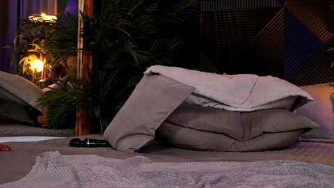 _keti_ free recording from 2024-11-11 08:04:00