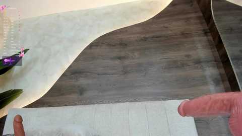 morgan_hill_ free recording from 2024-11-11 17:56:00