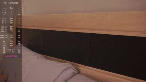 udelaborom free recording from 2024-11-11 02:50:00