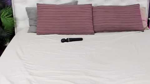 alissdaisyy free recording from 2024-11-12 08:31:00