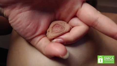 mollywayne free recording from 2024-11-14 19:39:00